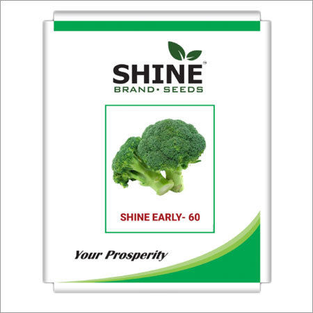Broccoli - Shine Early - 60 Seed