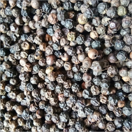Black Pepper - Dried Spice, Black Color | Strong Flavor for Italian & Indian Cuisines, Rich in Antioxidants & Antibacterial Properties
