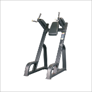 Vertical Knee Raise