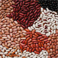 Bean Seeds - Kidney Shape, Varied Size, Red Color | Chemical-free, Easy Cooking, High Protein, Dietary Fiber, Boosts Immunity, Delicious Taste