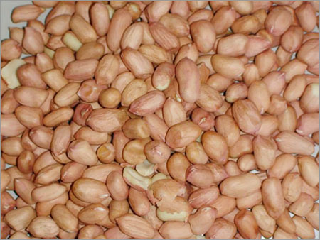 Dried Peanut