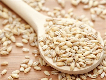 Rapeseed Canola Seeds