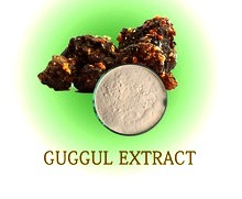 Guggal Extract Raw Material: Resin