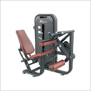 Seated Leg Curl