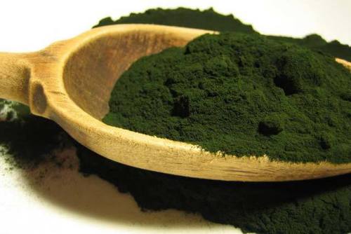 Spirulina Extract Powder