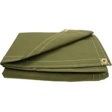 Cotton Canvas
