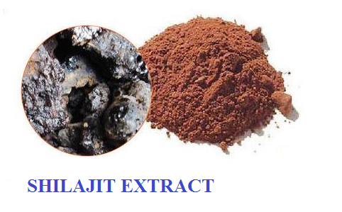 Shilajit Extract Raw Material: Resin