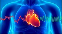 Ayurvedic Medicine for Heart Health - Chologuardhills Combination Pack