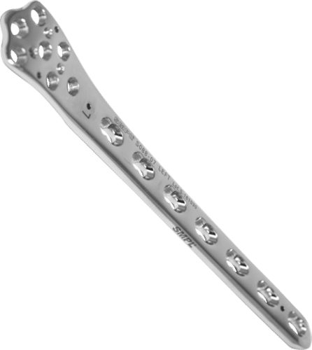 Distal Femur With Locking System Plate Bone Implants