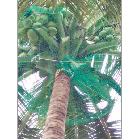 Coconut Safety Nets