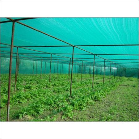 Shade Net