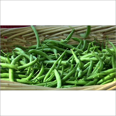 Fresh Beans - Crisp Green Pods, Traditional Cultivation, Minimal Processing | Nutritious, Sweet, Versatile, High-Quality, Cold Stored