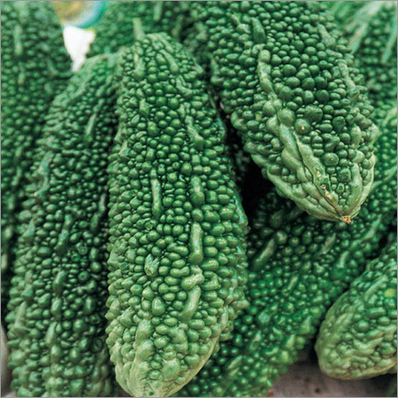 Fresh Bitter Gourd - 15-20cm Length, 100-200g Weight, Green Color | Anti-inflammatory, Antioxidant Rich, Long Shelf Life, Rich Vitamins