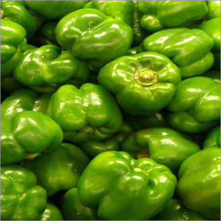 Fresh Capsicum - Bell Shape, Varying Sizes | Fresh, Pesticide-Free, Tasty, Versatile, Immune Booster, Improves Metabolism