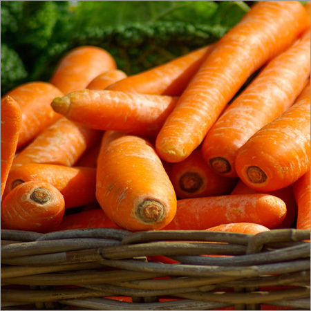 Fresh Carrot - Average Diameter 2-4cm, Average Length 15-25cm, Orange Color | Antioxidants, Boosts Immunity, Nutritious, Crisp Texture, Reduced Cholesterol