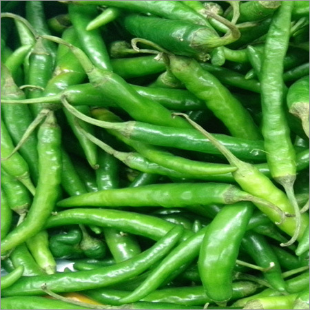 Fresh Green Chillies