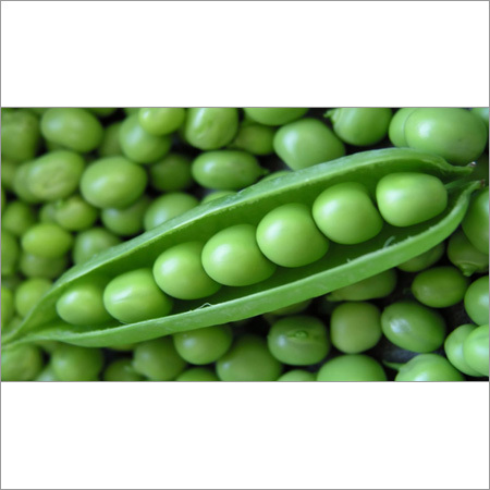 Fresh Green Peas