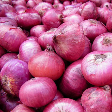 Fresh Onions - Round Shape, Red Color, Variable Size | Flavorful, Fresh, Nutritious, Versatile, Firm Texture, Great for Various Cuisines