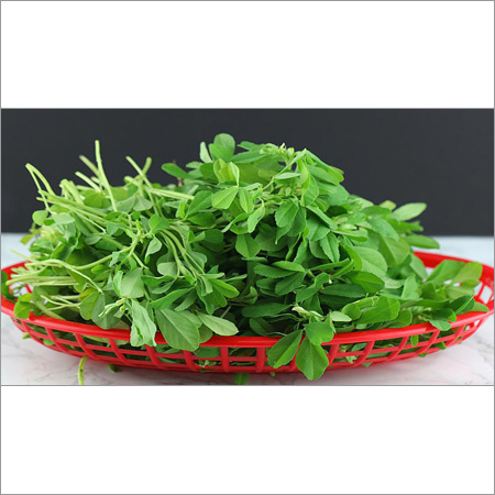 Fenugreek Leaf