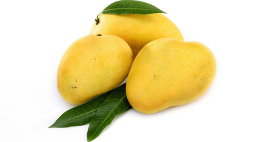 Fresh Mangoes