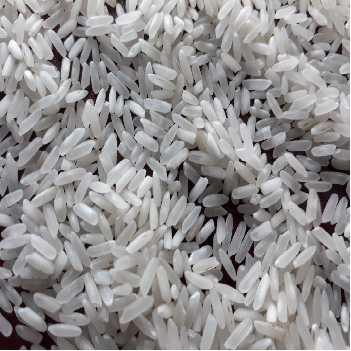 IR 64 White Rice - 5.8mm to 6mm Size, White Color | 1% Admixture, 5% Broken Ratio, 13% Moisture, 90% Purity, Dried Style