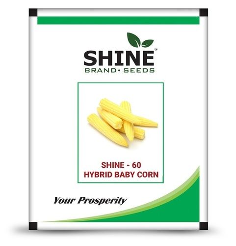 Hybrid Baby Corn Seeds - Shine-60 Weight: 1  Kilograms (Kg)