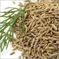 Cumin Seeds