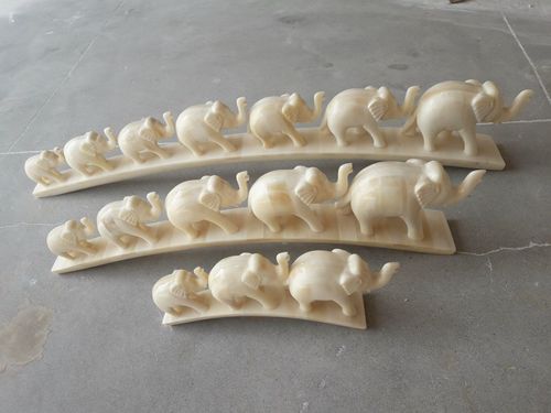 elephant size camel bone