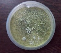 Trichoderma Viride