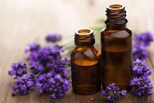 Lavender Attar at Best Price in Kannauj Uttar Pradesh