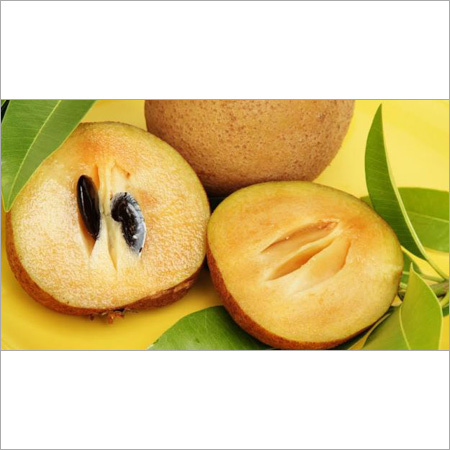 Brown Sapota Chikoo Fruit