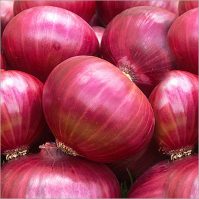 Red Onion