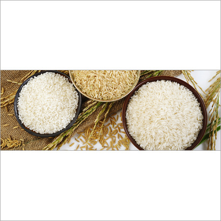 Common Non Basmati Rice