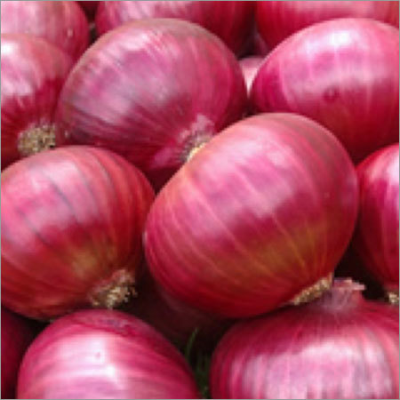 Fresh Red Creole Onion
