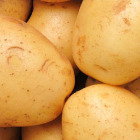 Fresh Potato