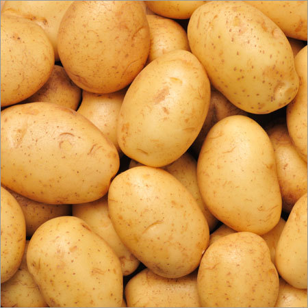 Organic Potato