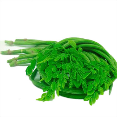 Moringa Leaf