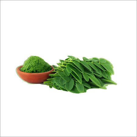 Pure Moringa Leaf Powder