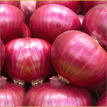Organic Red Onion
