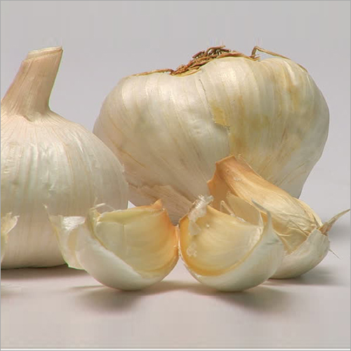 Fresh Garlic
