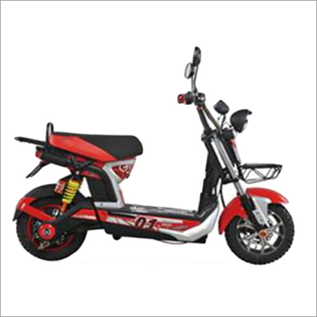 Adult Electric Bike