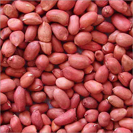 Groundnut Shells Kernels