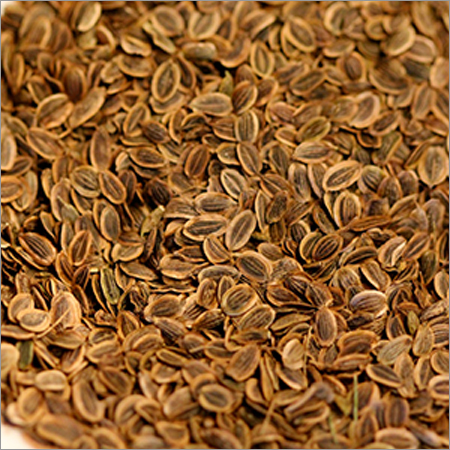 Dill Seeds