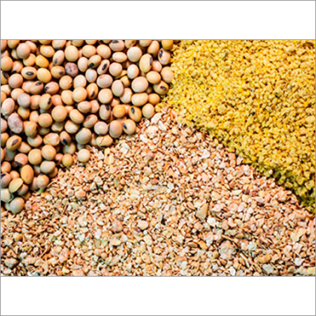 Oil Seed Meal