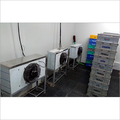 CURD INCUBATION ROOM