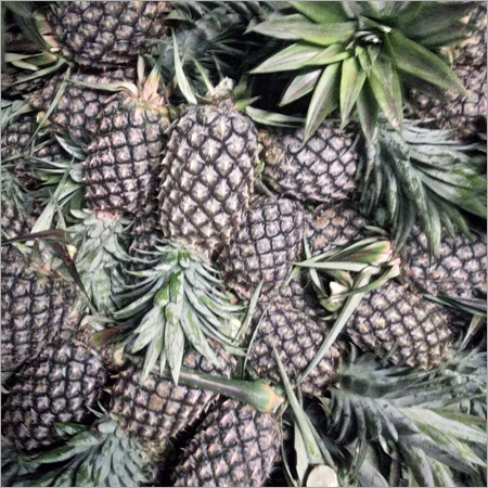 Fresh Pineapple