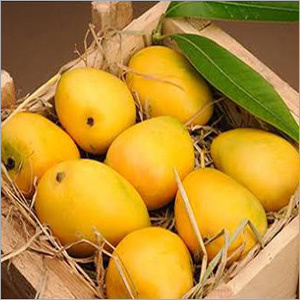 Fresh Mango