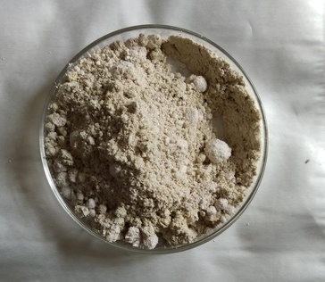 Rhizobium (Rhizo-Pep) Application: Agriculture
