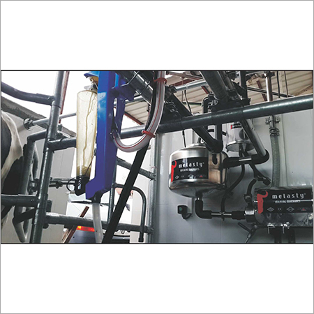 Milking Parlor Milking Parlor