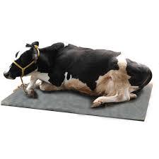 Black Agri Mats
